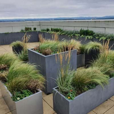 Office Head Quarters Roof Garden 